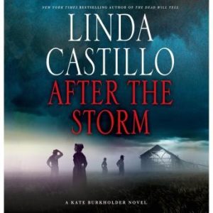 After the Storm: A Kate Burkholder Novel