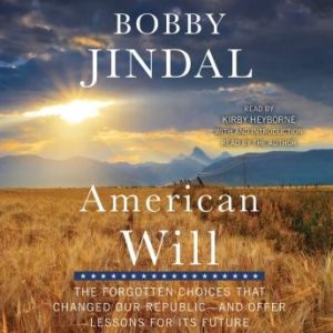 American Will: The Forgotten Choices That Changed Our Republic