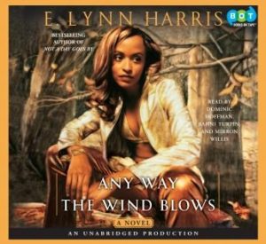 Any Way the Wind Blows: A Novel