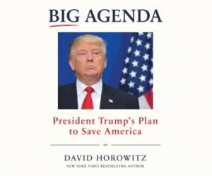 Big Agenda: President Trump's Plan to Save America