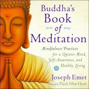 Buddha's Book Meditation: Mindfulness Practices for a Quieter Mind, Self-Awareness, and Healthy Living