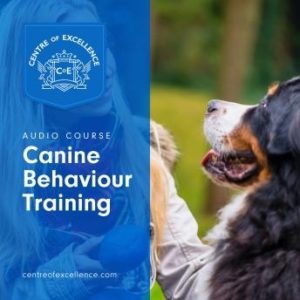 Canine Behaviour Training