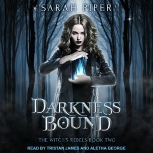 Darkness Bound: A Reverse Harem Paranormal Romance
