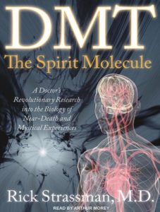 DMT: The Spirit Molecule: A Doctor's Revolutionary Research into the Biology of Near-Death and Mystical Experiences