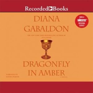 Dragonfly in Amber