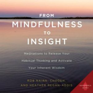 From Mindfulness to Insight: Meditations to Release Your Habitual Thinking and Activate Your Inherent Wisdom