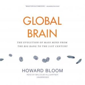 Global Brain: The Evolution of Mass Mind from the Big Bang to the 21st Century