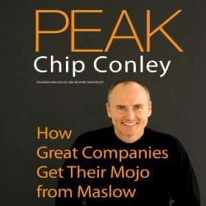 Peak: How Great Companies Get Their Mojo from Maslow