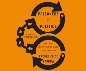 Prisoners of Politics: Breaking the Cycle of Mass Incarceration