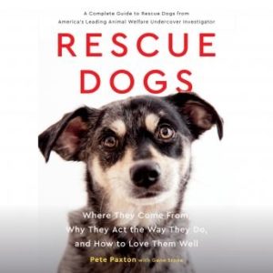 Rescue Dogs: Where They Come From, Why They Act the Way They Do, and How to Love Them Well