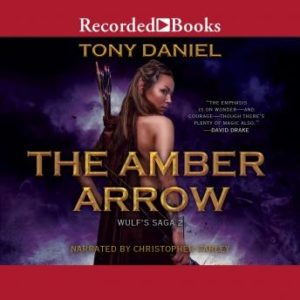 The Amber Arrow