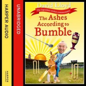 The Ashes According to Bumble