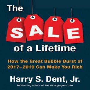 The Sale a Lifetime: How the Great Bubble Burst of 2017-2019 Can Make You Rich