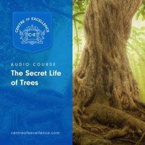 The Secret Life of Trees