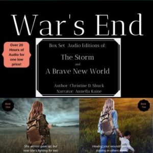 The Storm: War's End