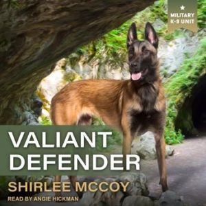 Valiant Defender