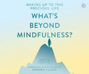 What's Beyond Mindfulness?: Waking Up to this Precious Life