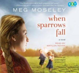 When Sparrows Fall: A Novel