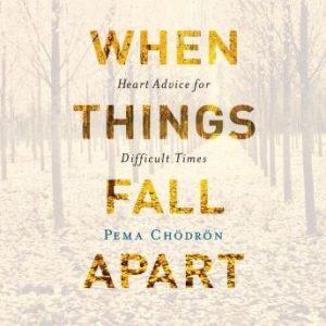 When Things Fall Apart: Heart Advice for Difficult Times