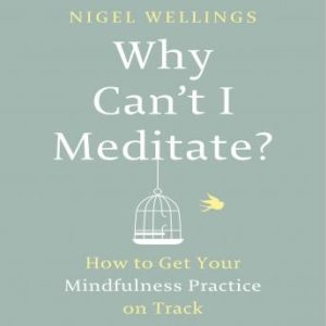 Why Can't I Meditate?: How to Get Your Mindfulness Practice on Track