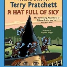 A Hat Full of Sky