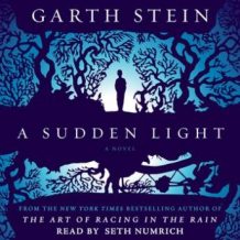 A Sudden Light: A Novel