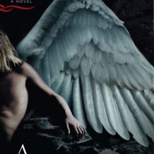 Angelology: A Novel