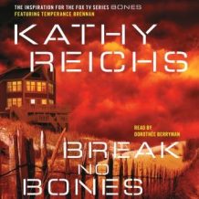 Break No Bones: A Novel