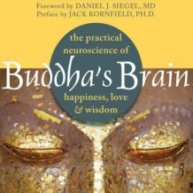 Buddha's Brain: The Practical Neuroscience of Happiness, Love & Wisdom