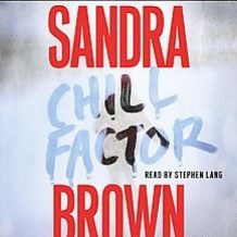 Chill Factor: A Novel