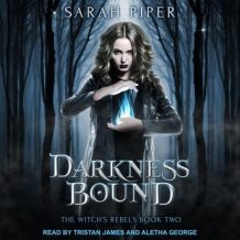 Darkness Bound: A Reverse Harem Paranormal Romance