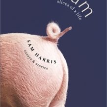 Ham: Slices of a Life: Essays and Stories