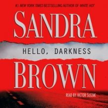 Hello, Darkness: A Novel