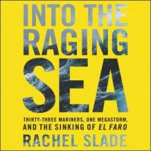 Into the Raging Sea: Thirty-Three Mariners, One Megastorm, and the Sinking of the El Faro