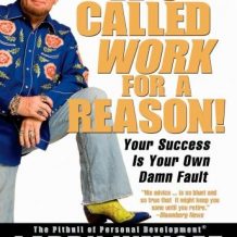 It's Called Work For a Reason!: Your Success Is Your Own Damn Fault