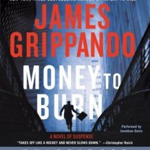 Money to Burn: A Novel of Suspense