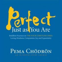 Perfect Just as You Are: Buddhist Practices on the Four Limitless Ones: Loving-Kindness, Compassion, Joy, and Equanimity