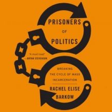 Prisoners of Politics: Breaking the Cycle of Mass Incarceration