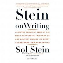 Stein on Writing