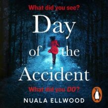 The Day of the Accident: The compelling and emotional thriller with a twist you won't believe