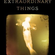 The Museum of Extraordinary Things: A Novel