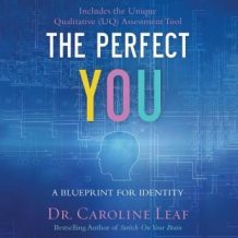 The Perfect You: A Blueprint for Identity