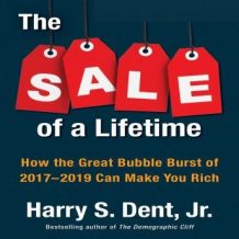 The Sale a Lifetime: How the Great Bubble Burst of 2017-2019 Can Make You Rich
