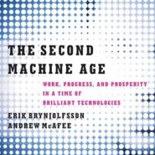 The Second Machine Age