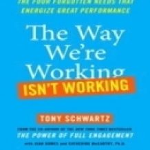 The Way We're Working Isn't Working: The Four Forgotten Needs That Energize Great Performance