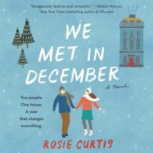 We Met in December: A Novel