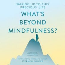 What's Beyond Mindfulness?: Waking Up to this Precious Life