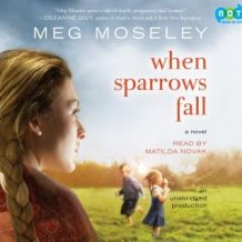 When Sparrows Fall: A Novel