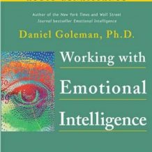 Working with Emotional Intelligence