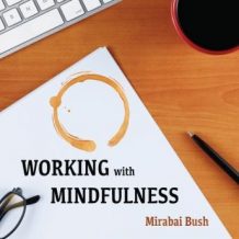 Working with Mindfulness